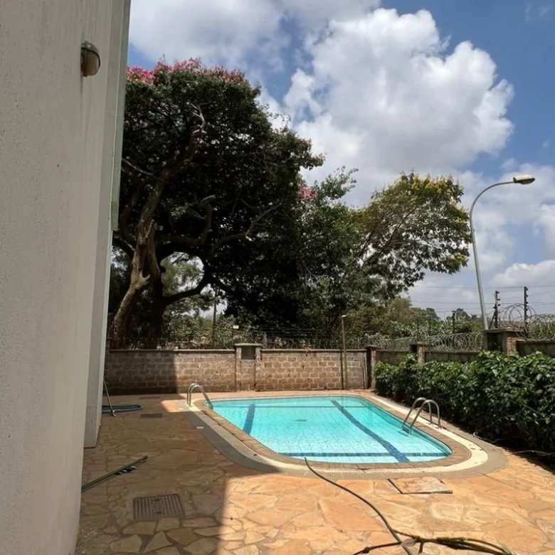 Imgi 118 WhatsApp Image 2023 03 13 at 06.45.22 1 1170x785