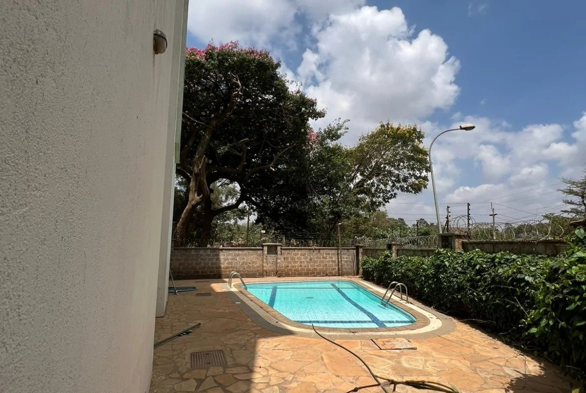 Imgi 118 WhatsApp Image 2023 03 13 at 06.45.22 1 1170x785