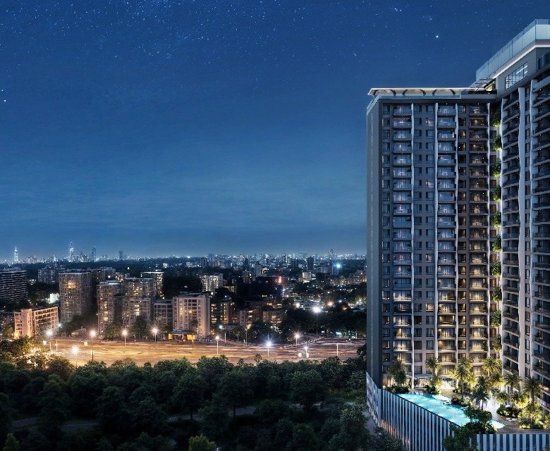 Imgi 11 1733382891 GEMINI