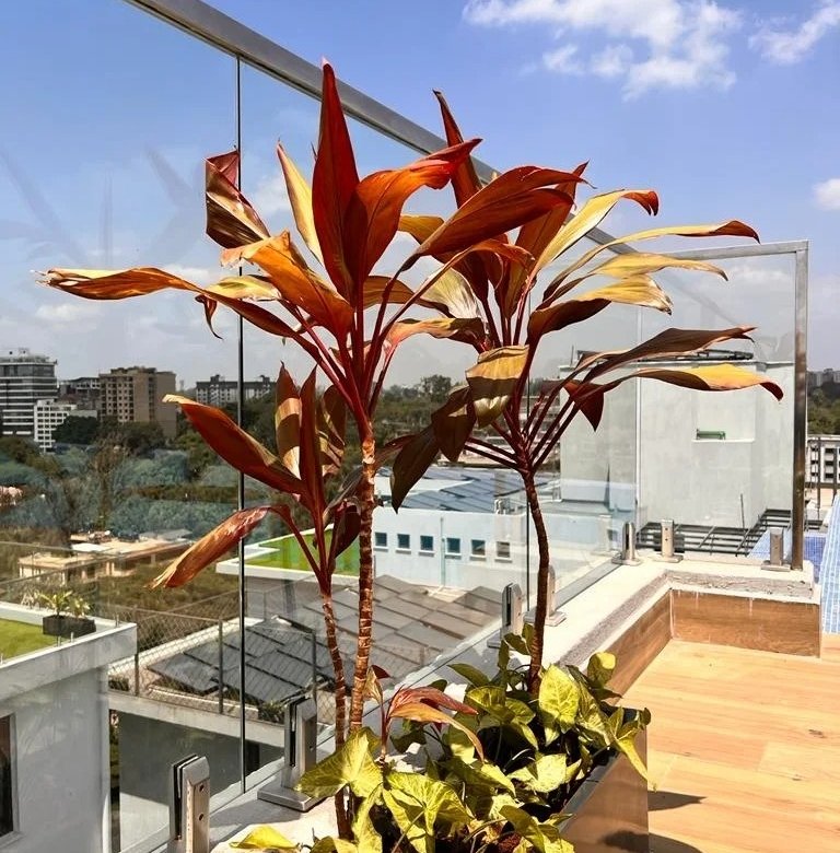 Imgi 129 WhatsApp Image 2022 12 17 at 21.59.04 1 768x785