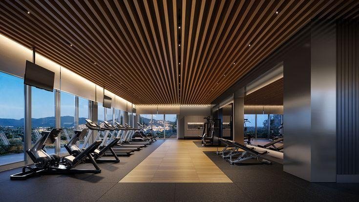 Imgi 165 WhatsApp Image 2025 07 29 at 3.09.33 PM