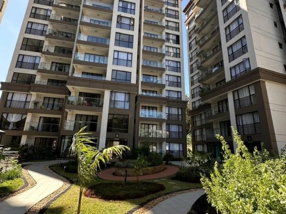 Imgi 2 WhatsApp Image 2024 07 08 at 09.45.09 960x785