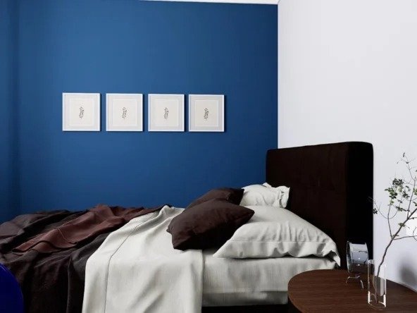 Imgi 94 WhatsApp Image 2024 01 18 at 18.53.35 592x444